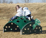 Turtle Climber