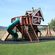 Daniels Wood Land Monkey Mansion Outdoor Wood Tree Playhouse