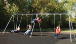 Primary Bipod Swings