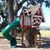 Tommys Turbo Terrace Outdoor Wood Tree Playhouse