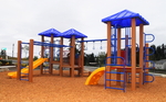 Issaquah Poly Play Structure