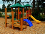 Kingston Poly Play Structure