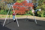 Primary Tripod Swings