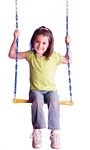 Trapeze Bar Swing