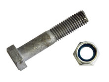 Steel Pivot Bolt & Nut