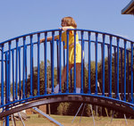 Arched Bridge