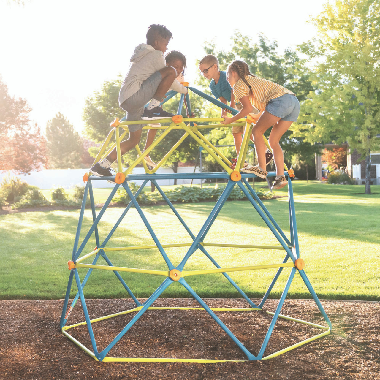 Lifetime Backyard Climbing Tower